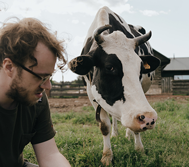 More trust in the resilience of your cows