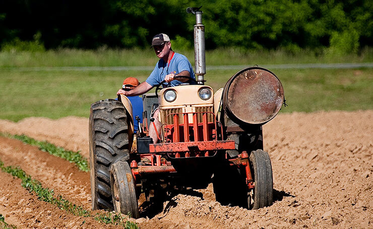 Agriculture Products